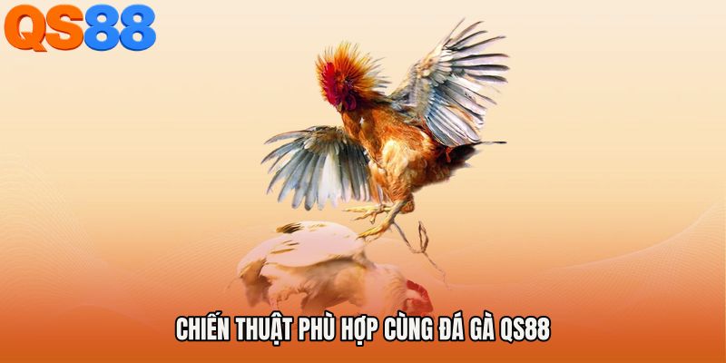 Chiến thuật phù hợp cùng Đá gà QS88