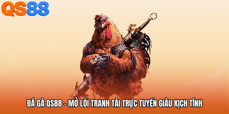 Đá Gà QS88 - Mở Lối Tranh Tài Trực Tuyến Giàu Kịch Tính